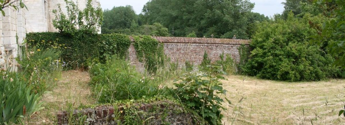 Rivière Patrimoine Environnement